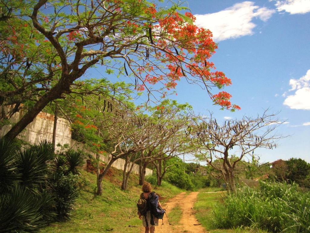Búzios Flor Morena Guesthouse المظهر الخارجي الصورة
